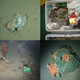 Illustration for article titled Theres Garbage in the Deepest, Most Remote Parts of the Ocean
